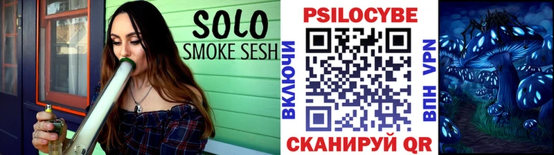 Галлюциногенные грибы Psilocybe  Багратионовск 