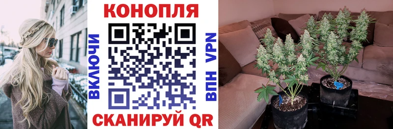 закладка Багратионовск Канабис LSD WEED